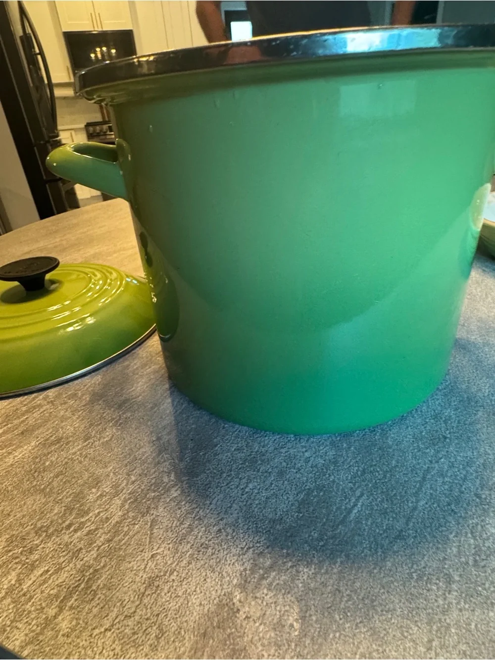 Le Cruset Stockpot with Lid (Palm)